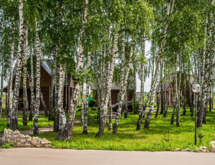 Апартаменты (Коттеджи) - Дом отдыха «Атлас Парк Отель»