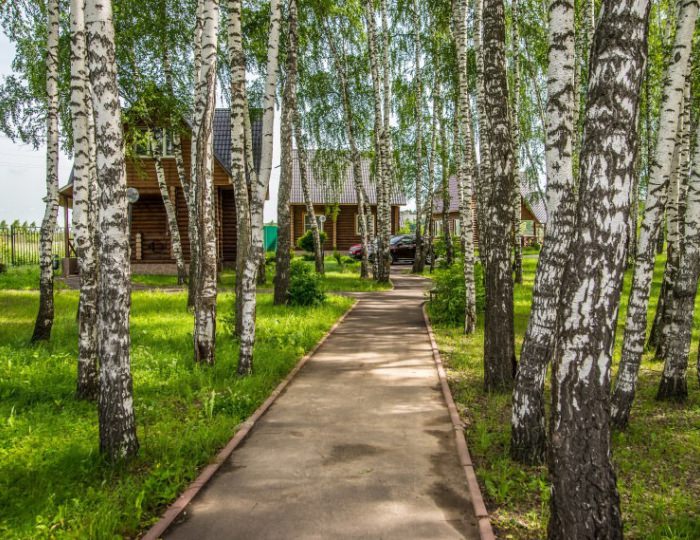 Апартаменты (Коттеджи) - Дом отдыха «Атлас Парк Отель»