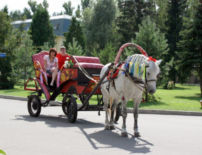 Конный клуб - Дом отдыха «Атлас Парк Отель»