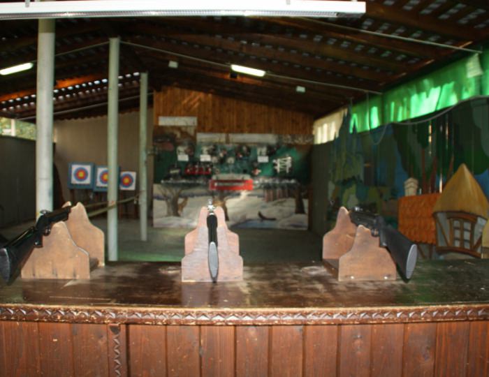 Тир - Дом отдыха «Атлас Парк Отель»